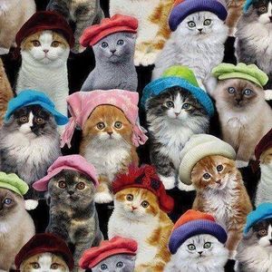 Meet your Posher, Adele